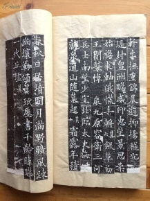 全稱為 大唐故特進(jìn)行右衛(wèi)大將軍兼檢校右羽林軍仗內(nèi)供奉上柱國卞國公贈(zèng)并州大都督泉君墓志銘