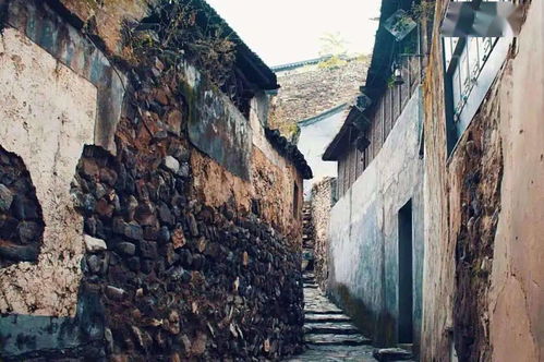 峽谷蜿蜒路，云中草原行 一場追風逐云的短途自駕之旅